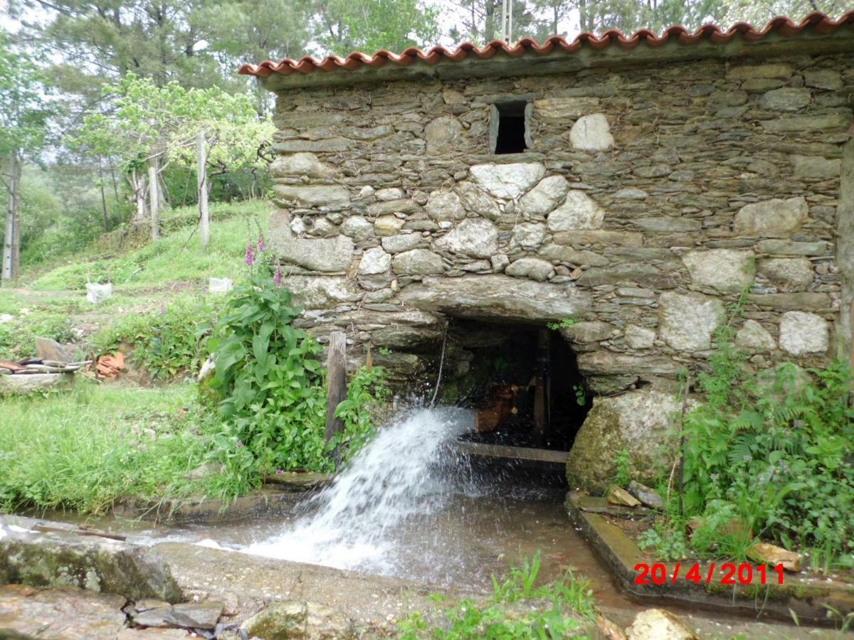 הוילה קמיניה Casa Lia Da Porta מראה חיצוני תמונה