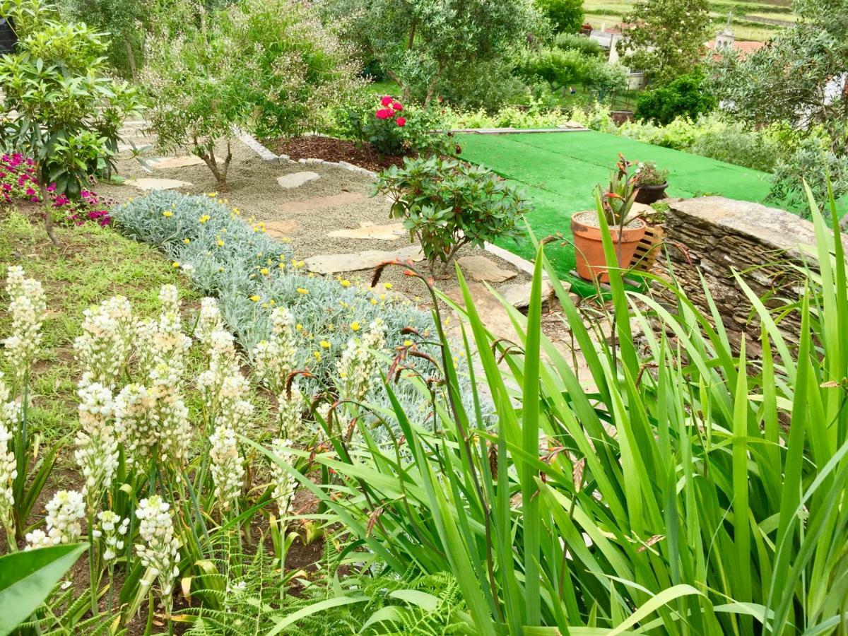 הוילה קמיניה Casa Lia Da Porta מראה חיצוני תמונה